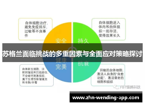 苏格兰面临挑战的多重因素与全面应对策略探讨