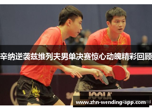 辛纳逆袭兹维列夫男单决赛惊心动魄精彩回顾 辛纳逆袭兹维列夫男单决赛惊心动魄精彩回顾