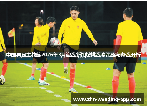 中国男足主教练2026年3月迎战新加坡挑战赛策略与备战分析