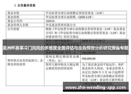 美洲杯赛事冷门风险的多维度全面评估与走势预警分析研究报告专题